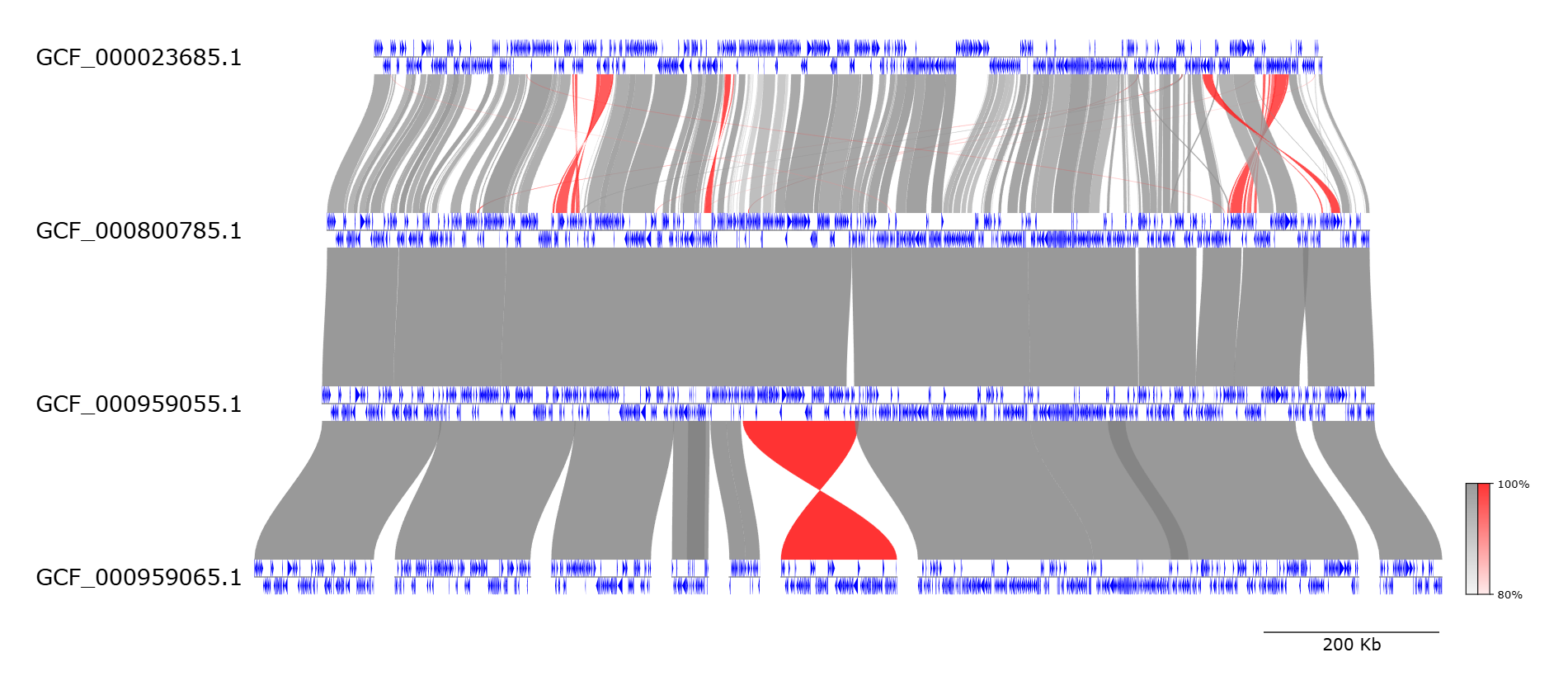 Genome visualization screenshot 1